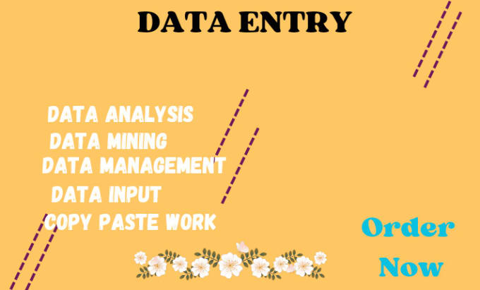 Gig Preview - Give you the best data entry service