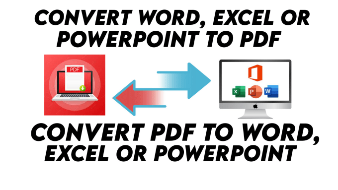 Gig Preview - Convert PDF to word