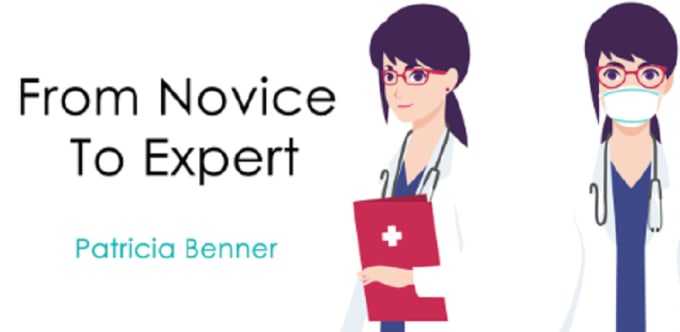 Gig Preview - Offer expert guidance on applying benner theory in nursing practice