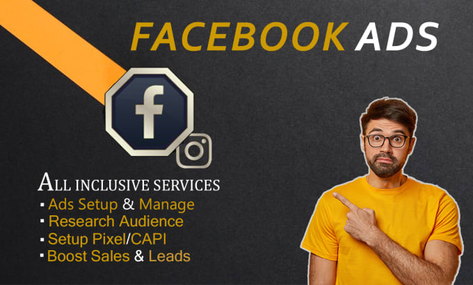 Gig Preview - Setup your facebook and instagram ads campaign marketing