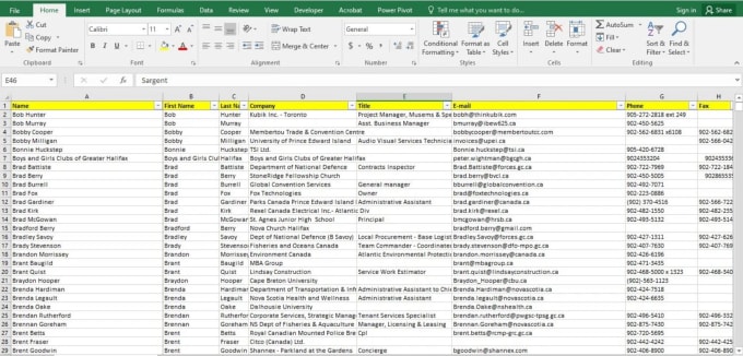 Gig Preview - Clean your excel contact database