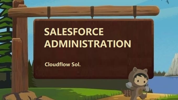 Gig Preview - Be your certified salesforce administrator