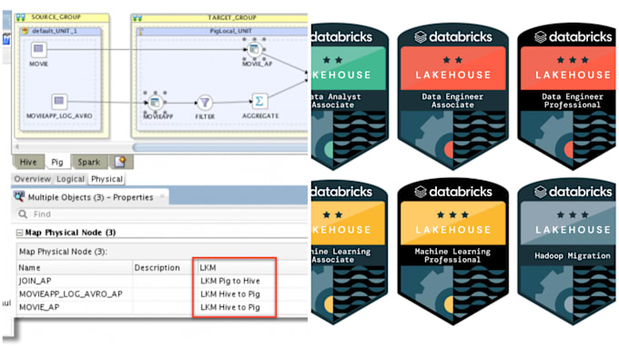 Gig Preview - Your databricks certification trainer and odi developer