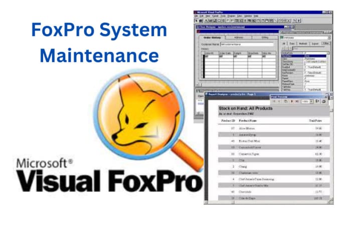 Gig Preview - Visual foxpro application maintenance