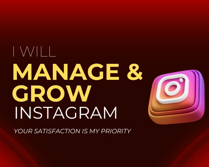 Gig Preview - Manage and grow your instagram