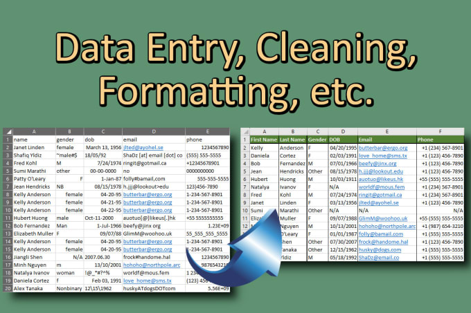 Gig Preview - Clean up, organize, and reformat your spreadsheet data