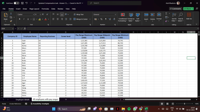 Gig Preview - Make a meticulously cleaned dataset for accurate insights