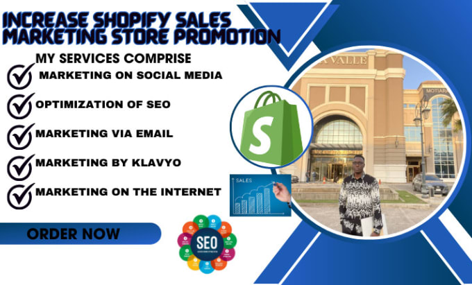 Gig Preview - Increase shopify sales marketing store promotion and advertising