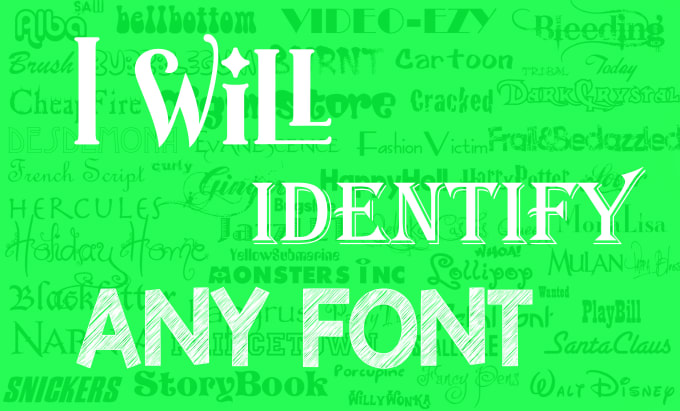 Gig Preview - Perfectly identify any font very fast find fonts