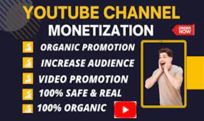 Gig Preview - Do youtube promotion for complete channel monetization