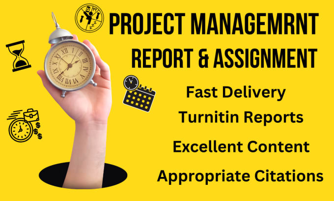 Gig Preview - Write project management task, technical report