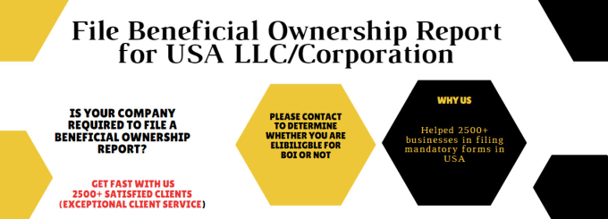 Gig Preview - File your beneficial ownership information boi report with fincen