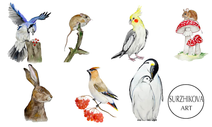 Gig Preview - Paint great realistic watercolor paintings of birds and animals