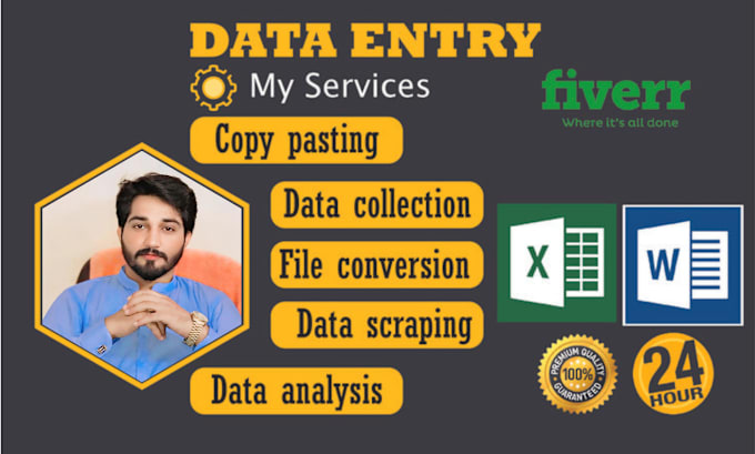 Gig Preview - Professional data entry services in ms word and excel