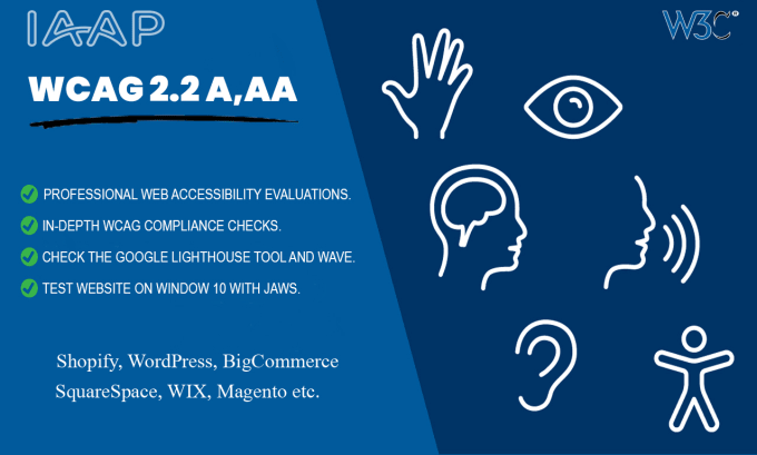 Gig Preview - Web accessibility testing and wcag audits