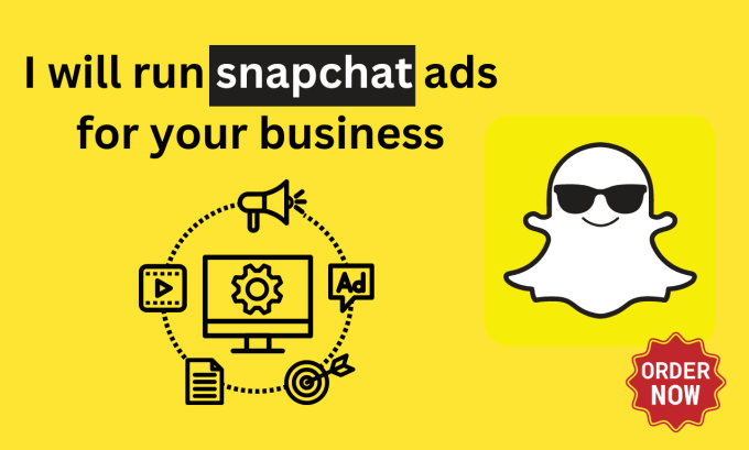 Gig Preview - Manage and optimize your snapchat ad campaign