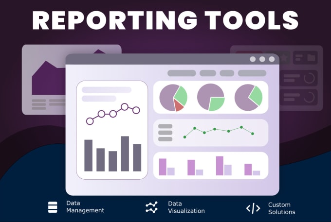 Gig Preview - Build custom data reporting software