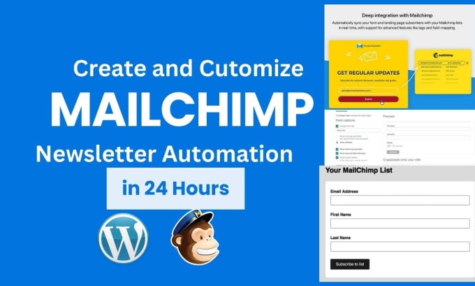 Gig Preview - Design wordpress mailchimp email template newsletter in 24 hours