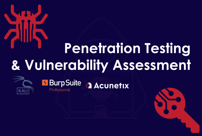 Gig Preview - Perform penetration testing on your web application