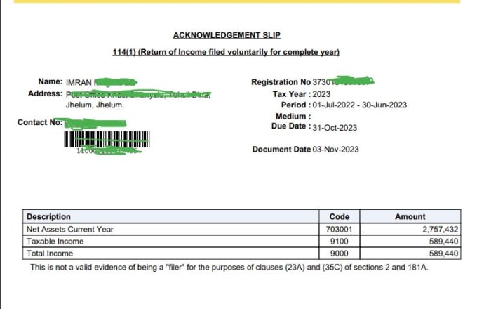 Gig Preview - File your 2024 tax return