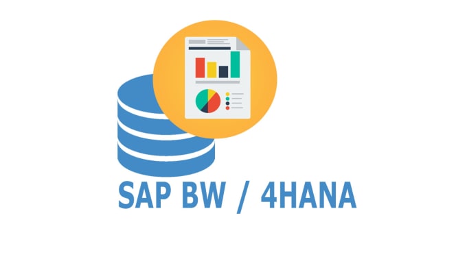 Gig Preview - Elevate your data landscape with sap bw, bi consulting