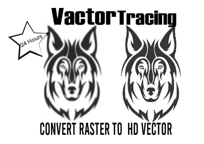 Gig Preview - Change your raster to perfect vector, redraw logo to ai,eps