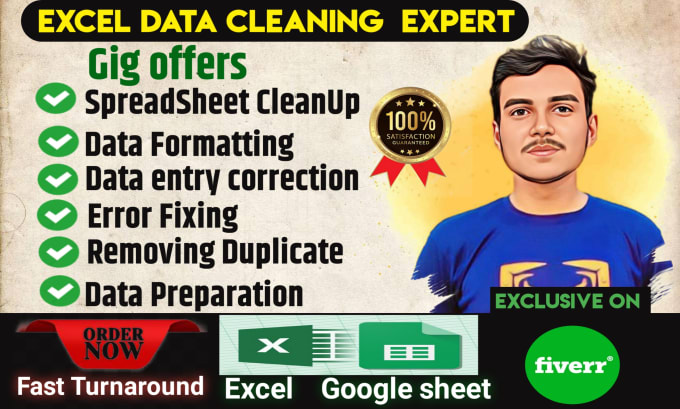 Gig Preview - Clean your excel data, error removal, formatting, duplicates, organization