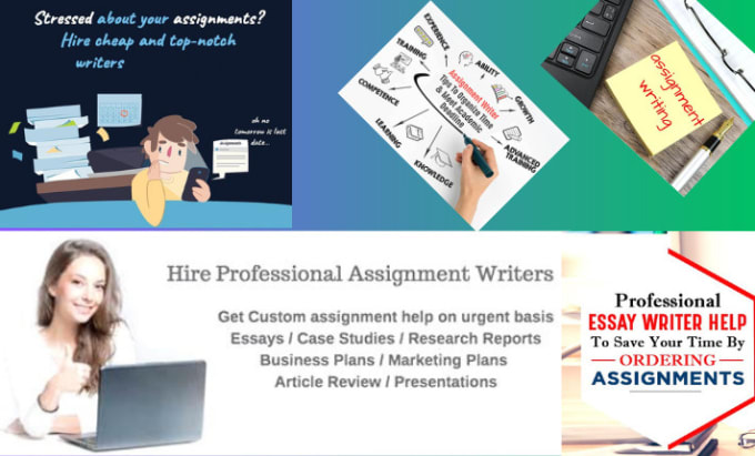 Gig Preview - Write assignments essay to assist students