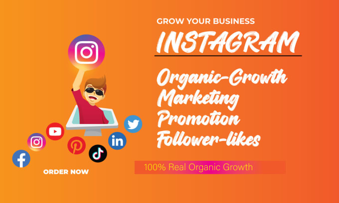 Gig Preview - Super fast instagram organic growth