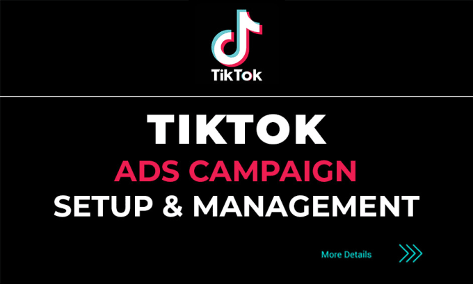 Gig Preview - Do tiktok ads, tik tok promotion, tiktok advertising, manage as a tiktok manager