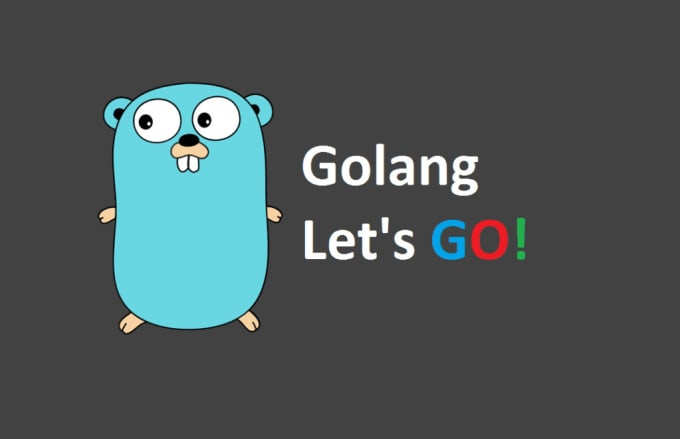 Gig Preview - Professional go lang developer expert API, web solutions