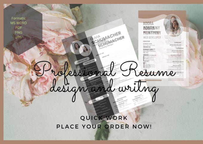 Gig Preview - Write and designs your resumes in modish style