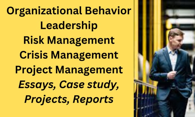 Gig Preview - Organizational behavior, statistics, financial valuation, risk management tasks