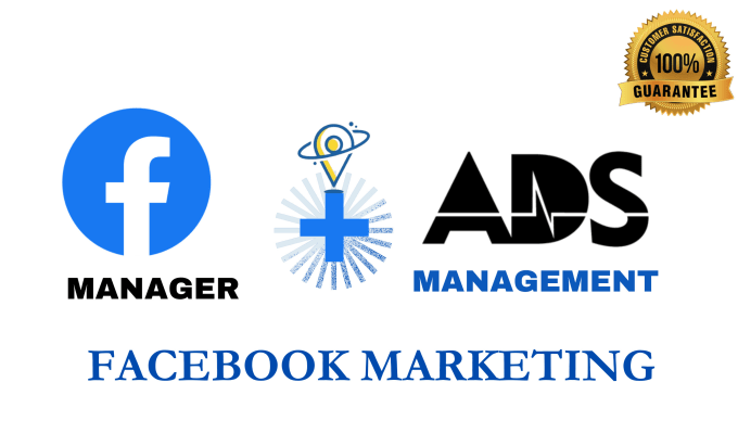 Gig Preview - Be your fb ads manager and do facebook advertising