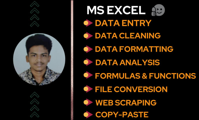 Gig Preview - Do ms excel data entry, cleaning, web research in 24 hrs