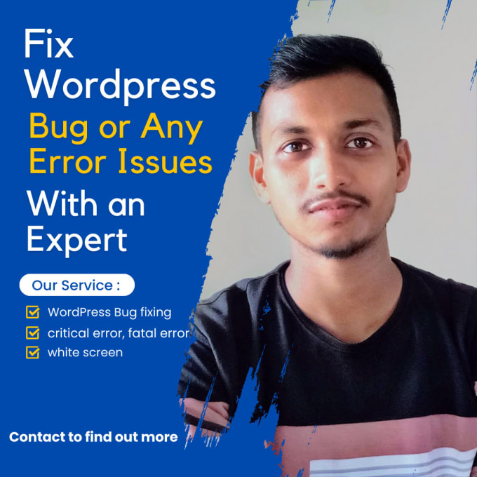 Gig Preview - Fix wordpress bugs and  any kind of errors