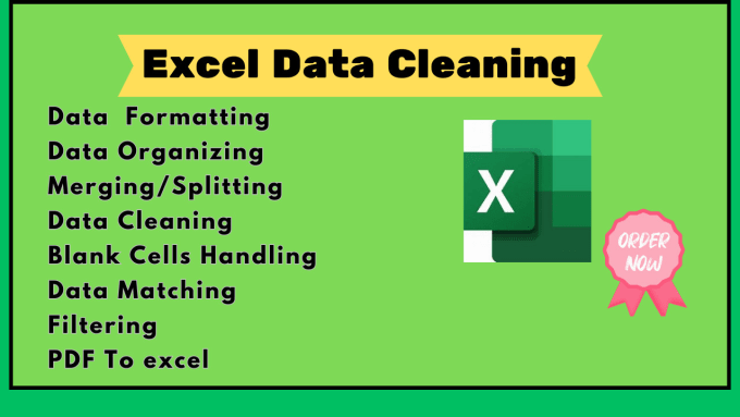 Gig Preview - Do excel data entry, cleaning, duplicate,