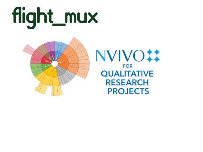 Bestseller - do qualitative analysis using nvivo