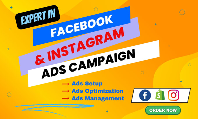 Gig Preview - Be your facebook and instagram ads campaign manager