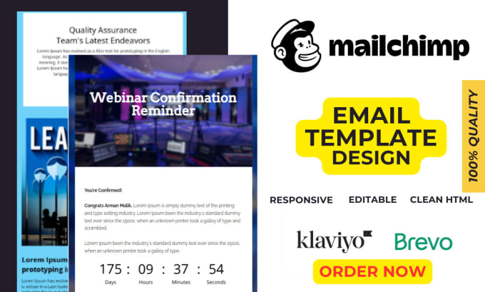 Gig Preview - Create a professional HTML email template or newsletter within 6 hours