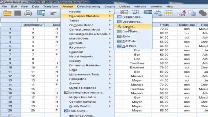 Gig Preview - Do  the statistical data analysis using spss software