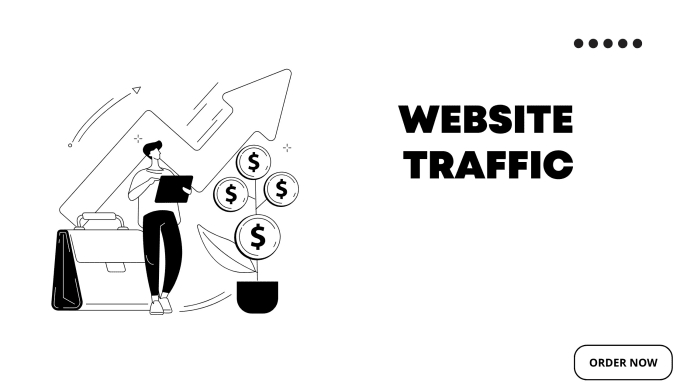 Gig Preview - Super grow your website to get organic traffic and sales