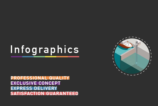 Gig Preview - Create professional custom infographics