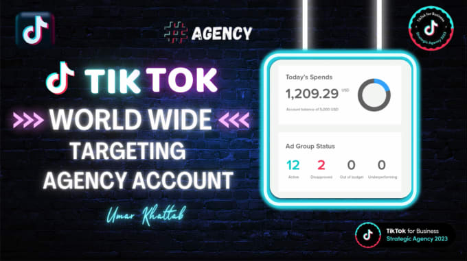 Gig Preview - Create verified tiktok agency account, tiktok ads account