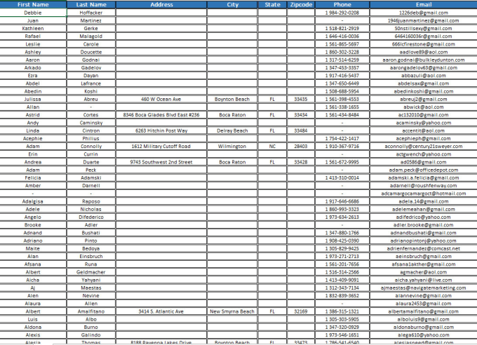 Gig Preview - Do clean your excel contact database