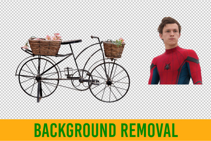 Gig Preview - Remove background from a picture