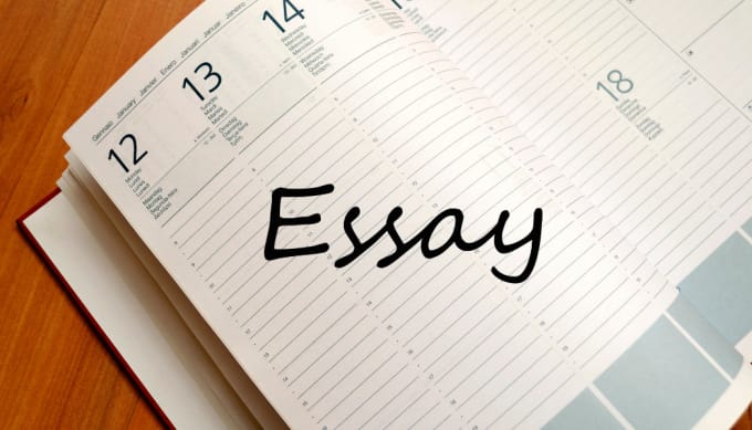 Gig Preview - Write business and management essays and case studies