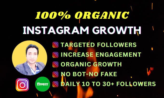 Gig Preview - Do super fast organic instagram growth