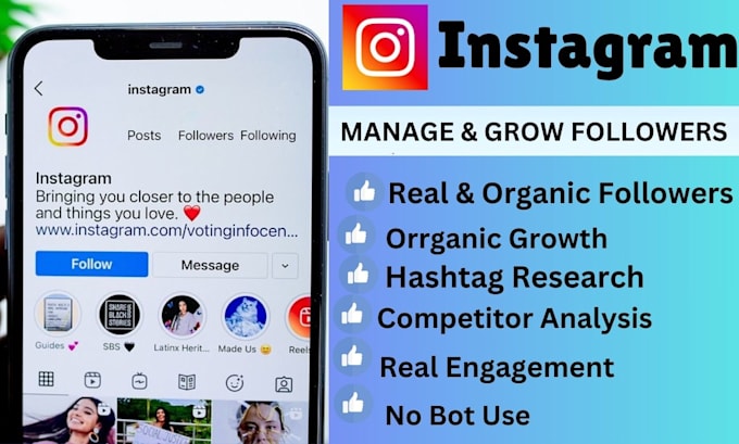 Gig Preview - Do instagram marketing to instagram organic growth