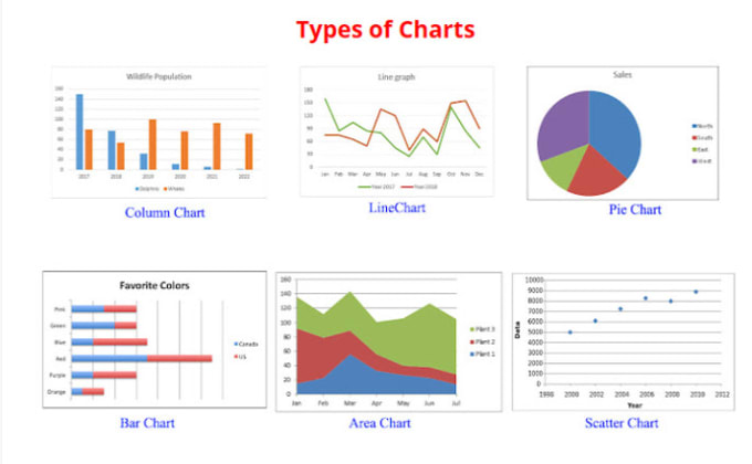 Gig Preview - Create all type of graphs and charts in powerpoint